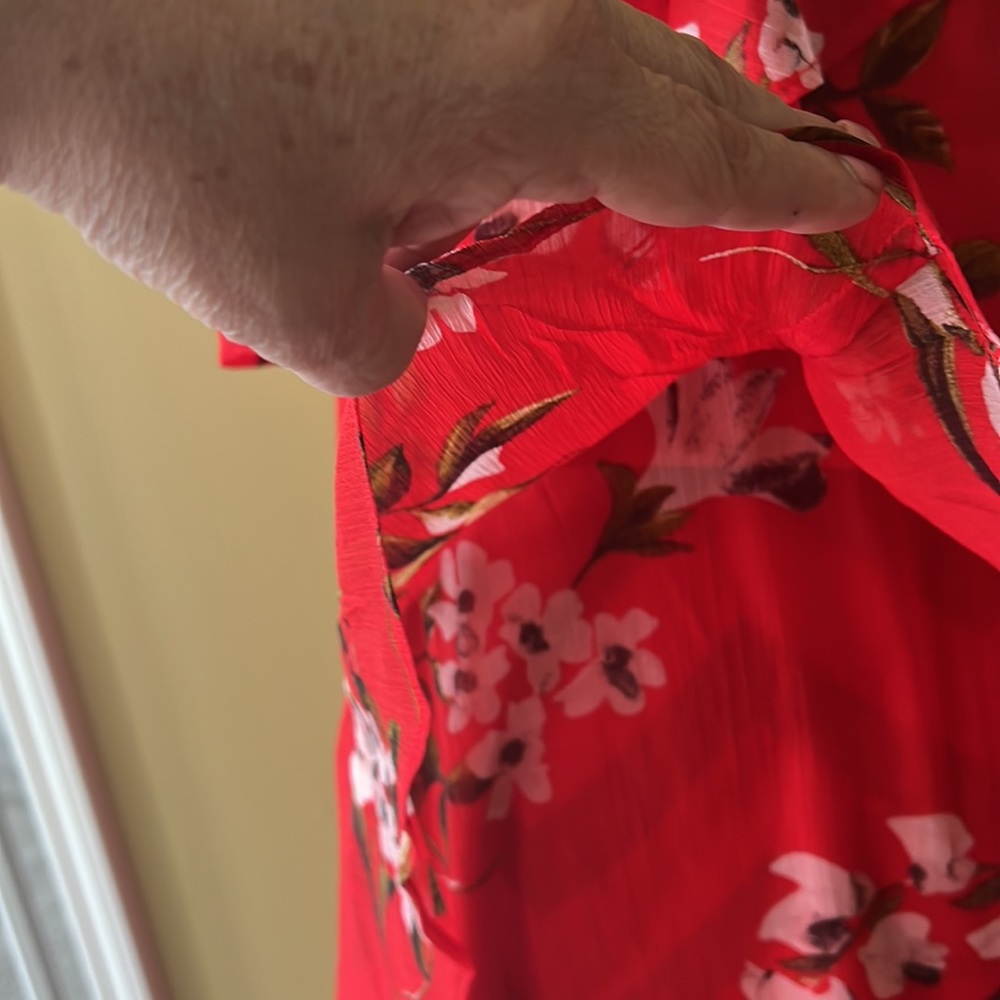 Taylor - Picture 5 of 11